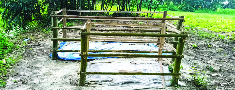 Image of রিফাত হোসেন 